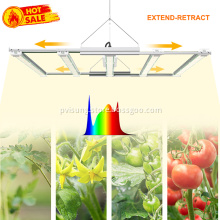 blue red grow light veg